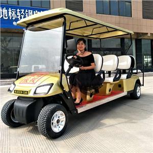 傲森品牌直销香槟色8座电动高尔夫车
