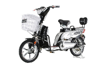 大运君子剑电动自行车简易48V