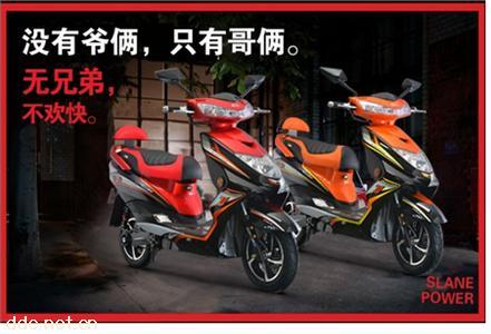 新蕾电动车-新聚鹰